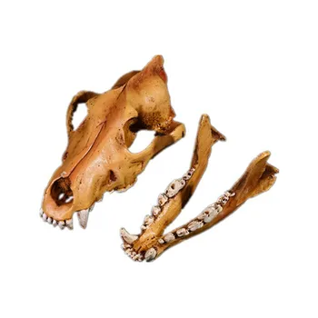 

Home art decoration resin crafts 1:1 high simulation wolf skull model