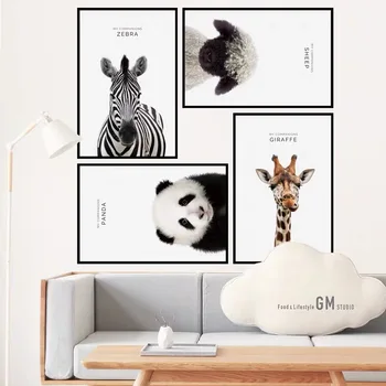 

1/Set Animal Wall Stickers Sheep Panda Zebra Giraffe With Frame Posters DIY Animal Wall Decals for Kids Rooms Living Room Decor