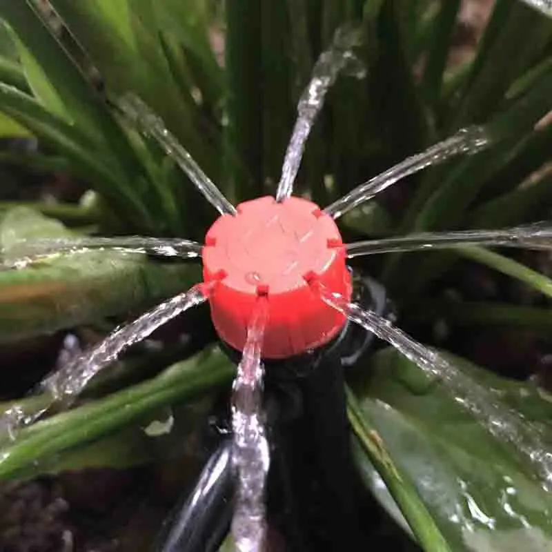 QQ图片20191117170011