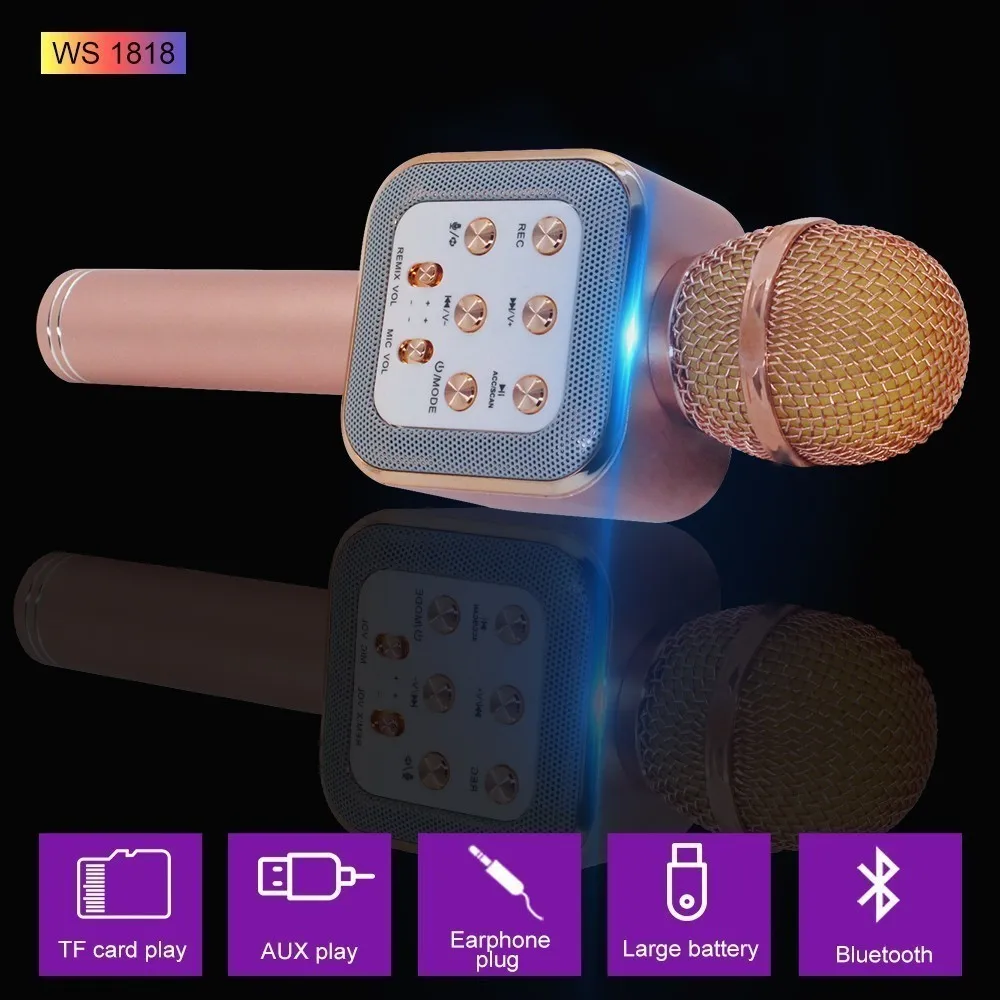 WS-1818, беспроводной микрофон для караоке, Bluetooth с Hifi динамиком, портативные караоке-машины, портативные, совместимы с iPhone, iPad