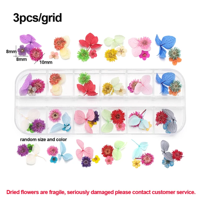 1Box Dried Flowers Dry Plants for Rsein Molds Fillings Epoxy Resin Pendant Tweezers Jewelry Making Craft DIY Nail Art Decoration Style 01