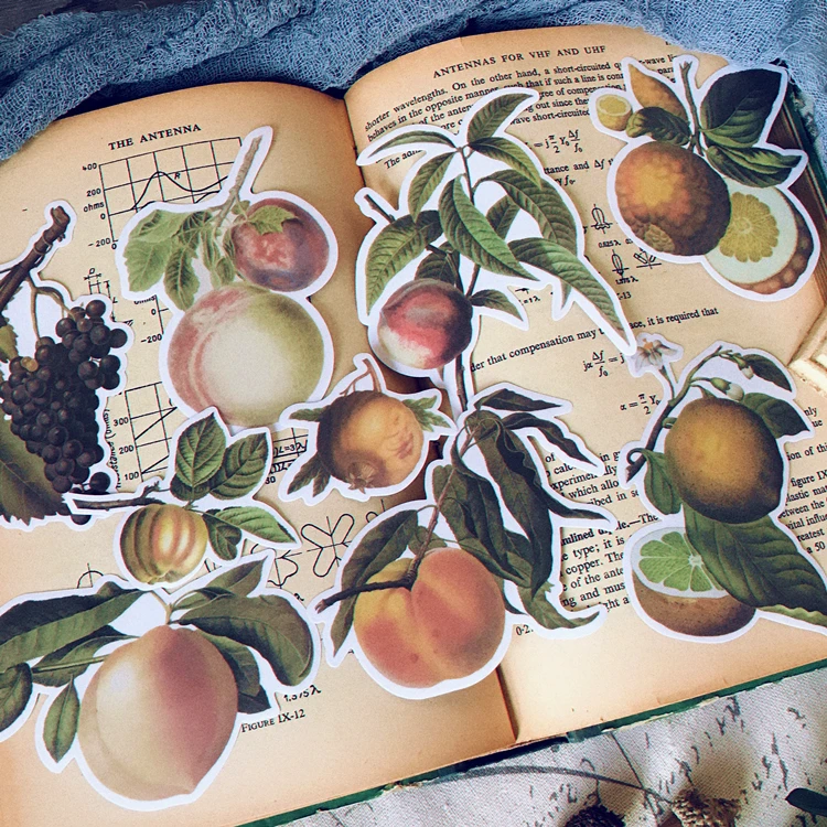 9Pcs/Pack Retro Fruit Leaves Sticker DIY Craft Scrapbooking Album Junk Journal Planner Decorative Stickers