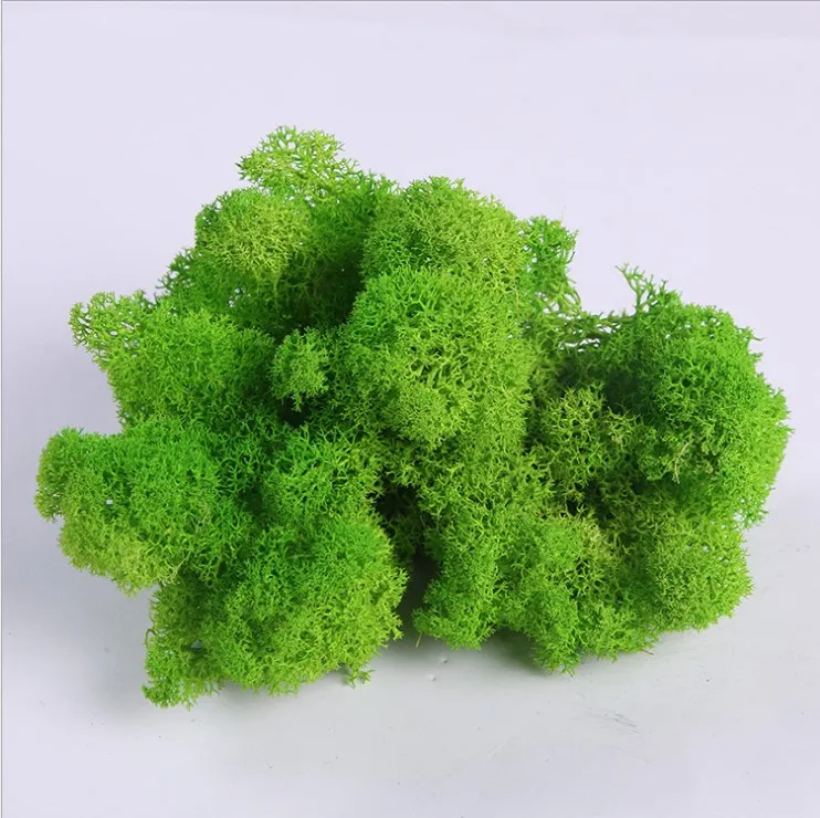 see chart 20 г серьги цвета мха из натурального агата норвежский олень сад вечный Мох сушеные ремесло искусственный цветок пейзаж Свадьба многоцветная трава D - Цвет: see chart
