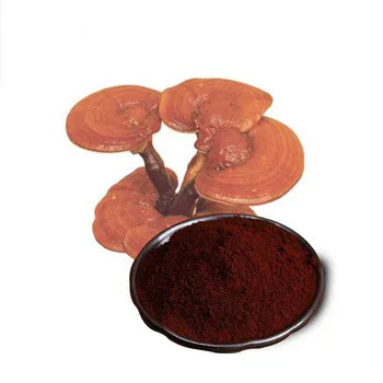 

500-1000gram Organic Reishi Mushroom Broken Spore Powder 98% Wall-breaking