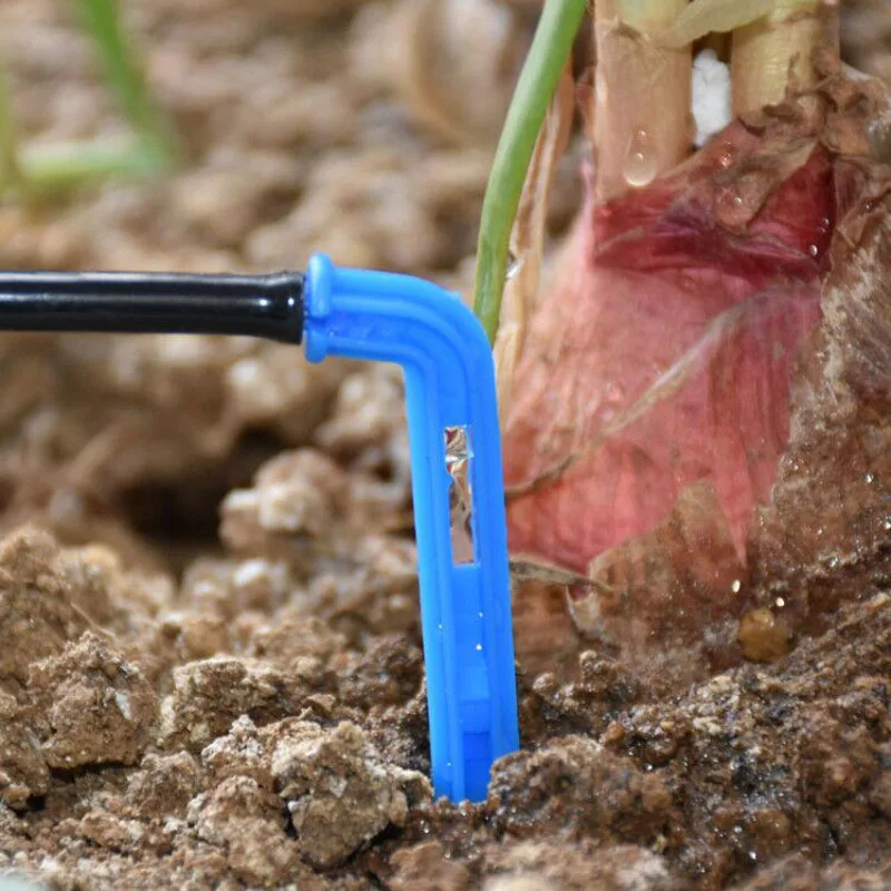 99E1690B16D3FDDB98E0324B98F92969_750_750