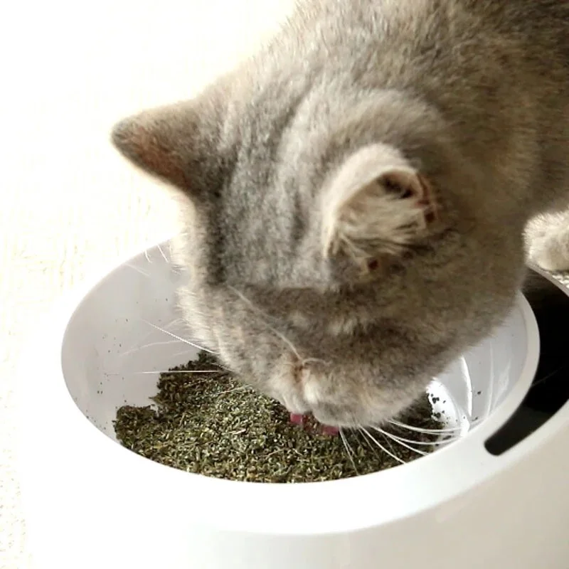1000g Catnip Natural Organic Premium Catnip Catmint Menthol Can Be Sprinkled on Toys and Toys Pleasing Pet Ball