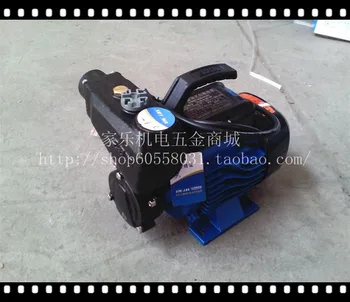 

Water Pump 1wzb-25 Vortex Self-Priming Pump Cast Iron Household Miniature Water Pump Booster Pump 750W