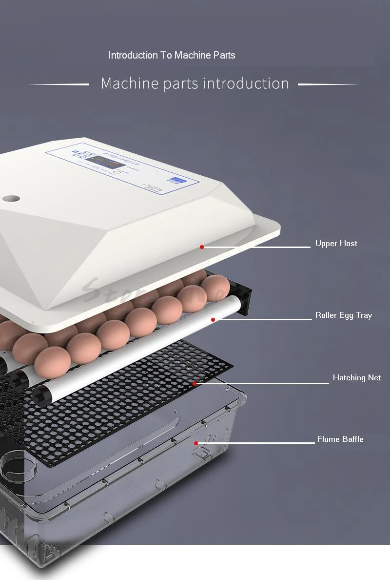 Маленький домашний инкубатор автоматический интеллектуальный инкубатор для цыплят инкубатор для яиц