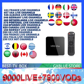 

H96 MAX X2 Android9.0 TV Box with GXBLUE IPTV 9000 Channels France Portugal Belgium Italy Dutch IPTV 1 year subscription