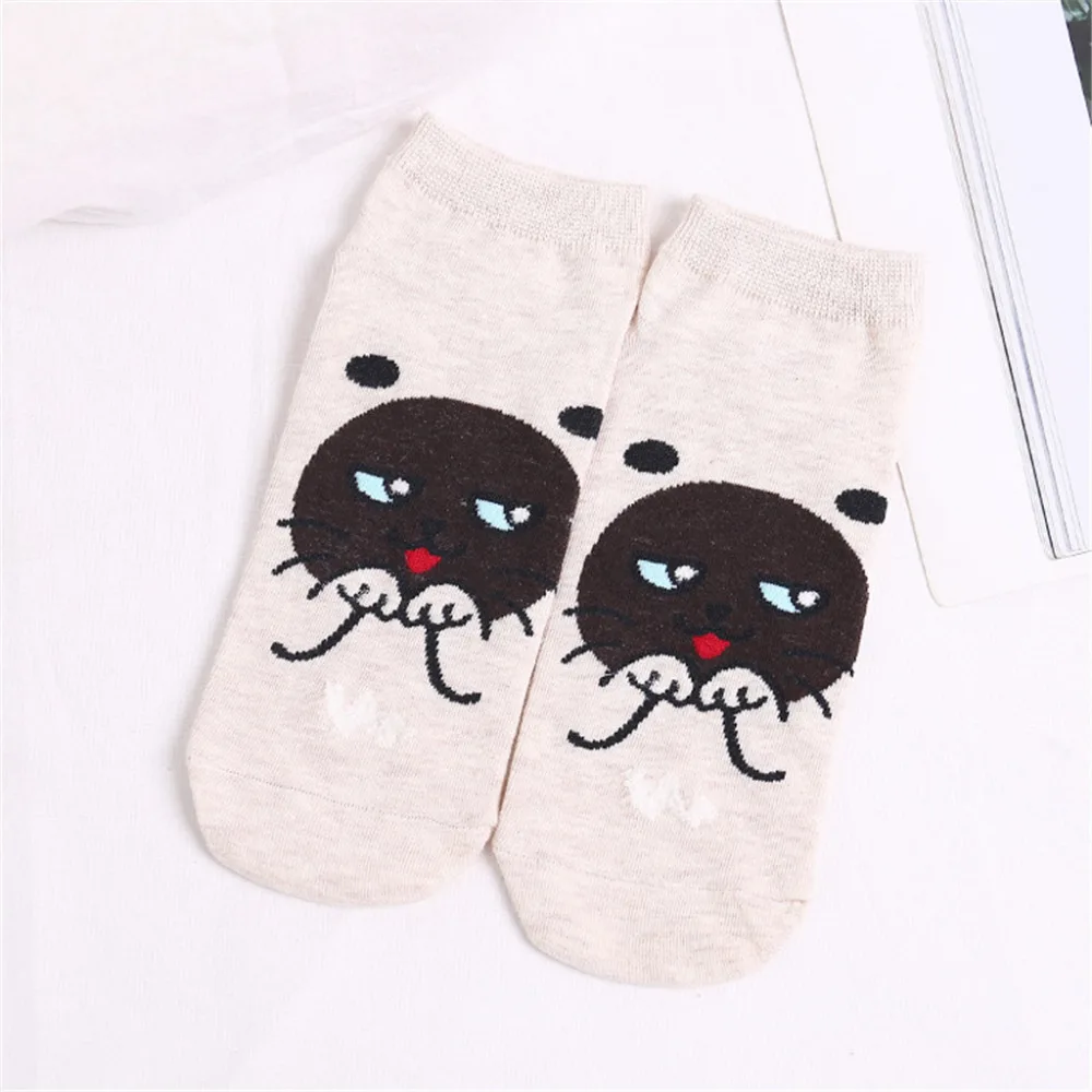 LFY81228211_20181228035213344