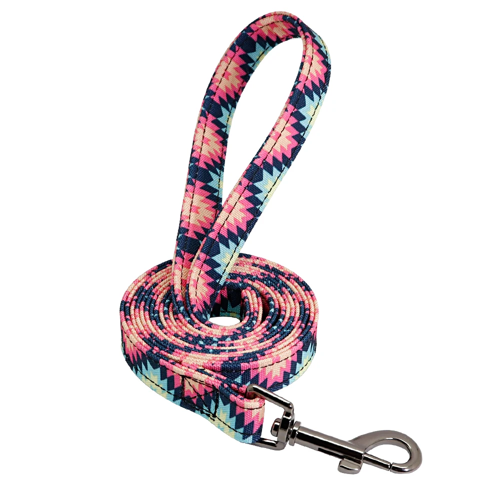 Pink Leash Индивидуальный ошейник для собак с поводком, нейлоновый, на заказ, ошейник для домашних животных с красочным принтом, поводок для прогулок для маленьких, средних и больших собак - Цвет: Pink Leash