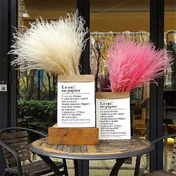 

Natural Dried Pampas Grass Wedding Flower Bunch Easter Home Decoration Pink White Color Eternal Flower Bouquet
