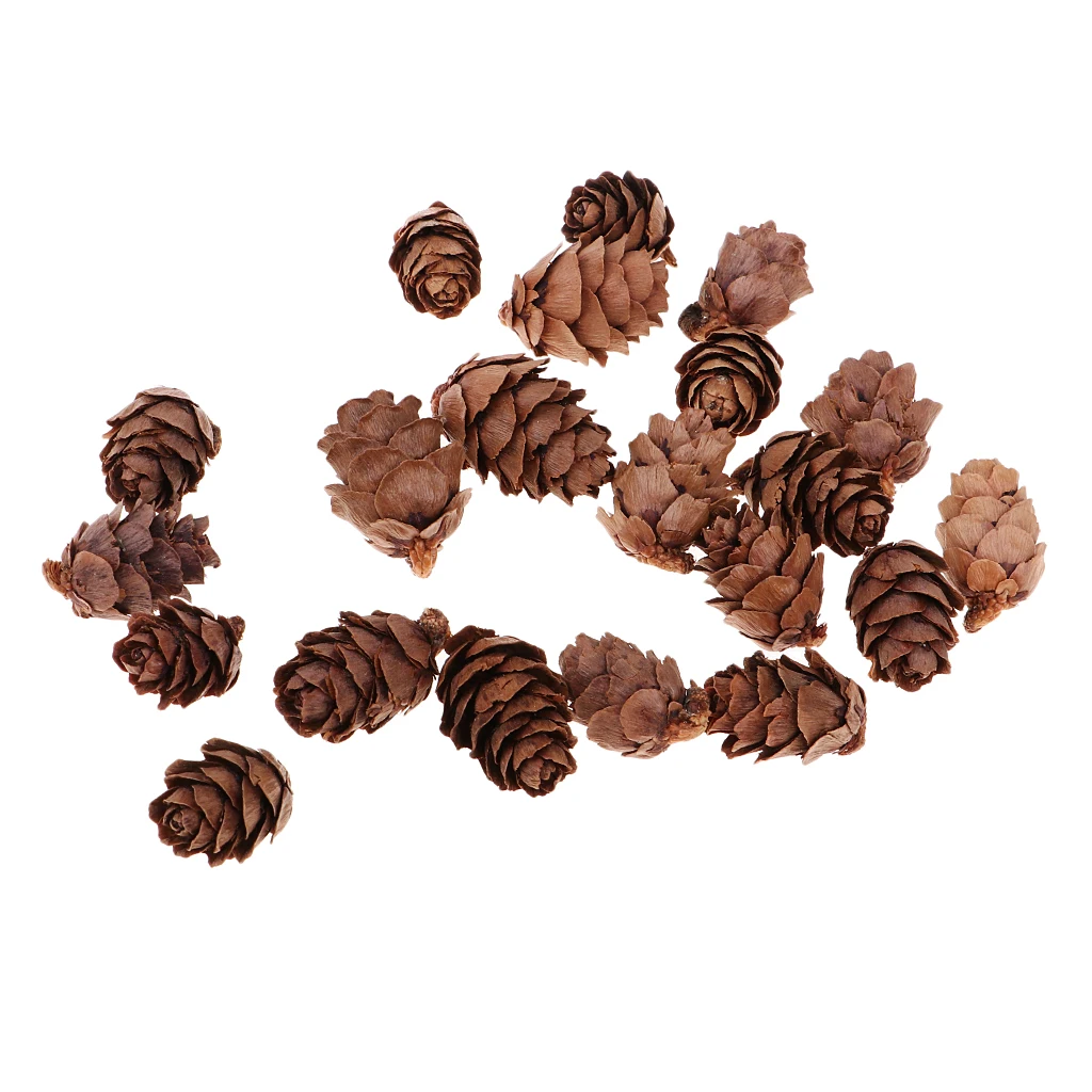 50x Mini Real Natural Pine Cones For Home Garden Decoration DIY Garland 20mm