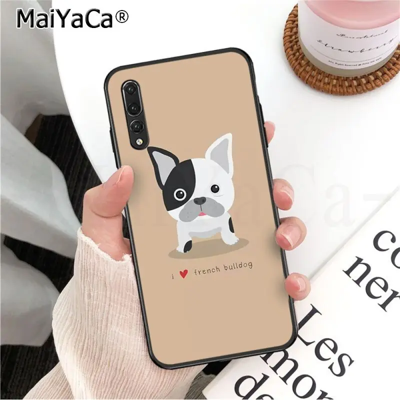 Frenchies Pretty puppy Pug Bulldog