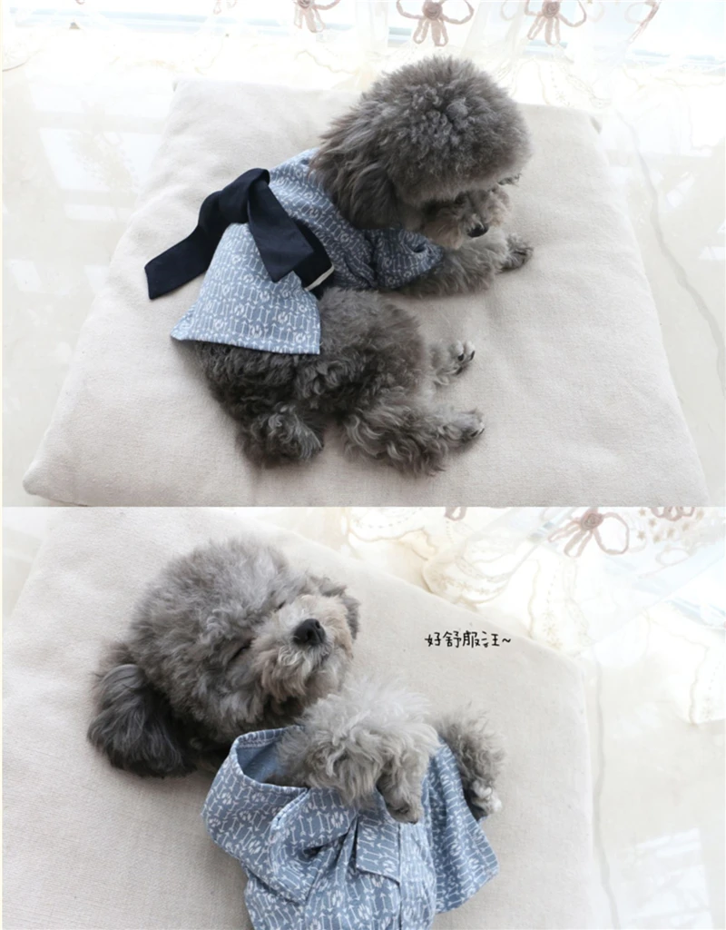 Dog shirt Japanese style (10)