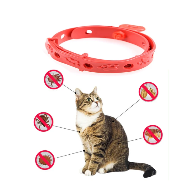 Collari calmanti per animali domestici Collare ai feromoni per gatti  Collare calmante impermeabile per animali domestici - AliExpress