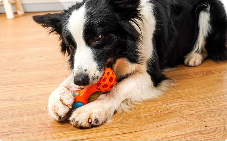 H103fb602ce7942369edee611f69dc7d78