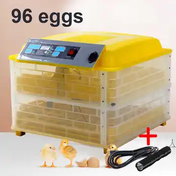 

Mini 48 Eggs Automatic Egg Incubator Hatcher Digital Control Panel Egg Incubators Fully Hatchery Machine for Duck Chicken Quail
