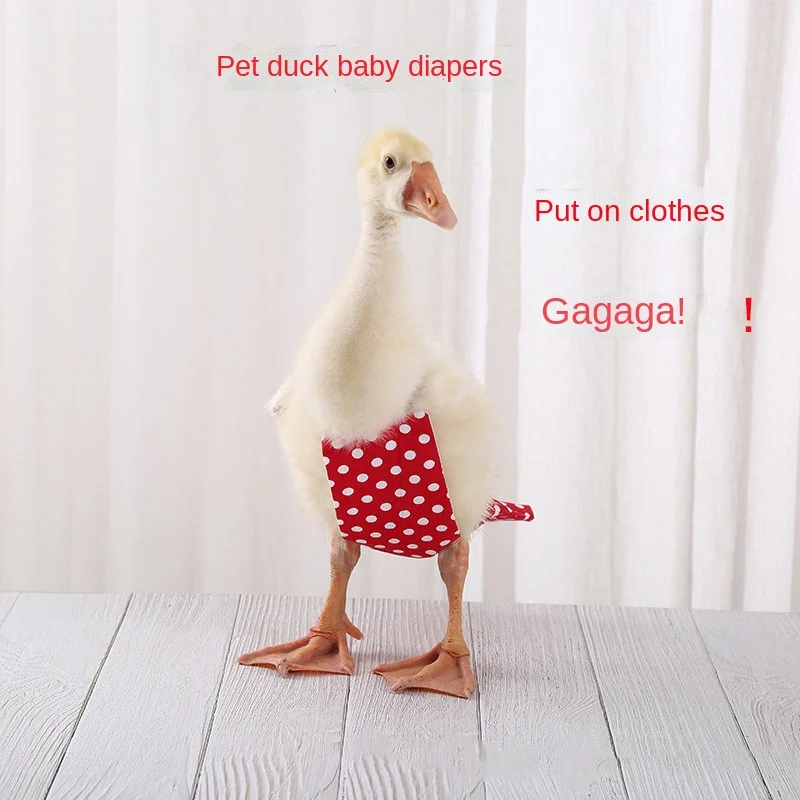 Cole's clothes, diapers of ducklings, diapers of goose excrement, chicken diapers, cotton washable nets, red duck diapers.