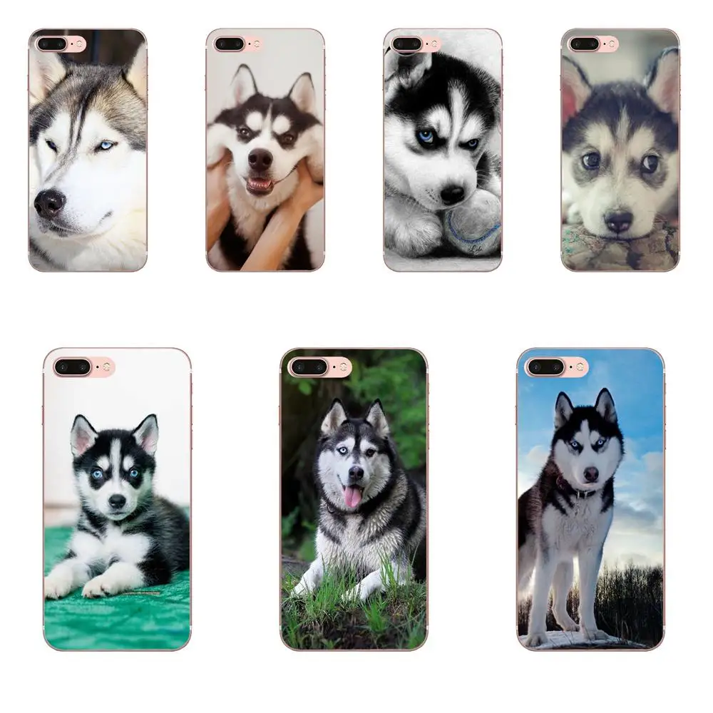 В продаже для Apple iPhone 4 4S 5 5C 5S SE SE2 6 6S 7 8 11 Plus Pro X XS Max XR Wacky Husky новый