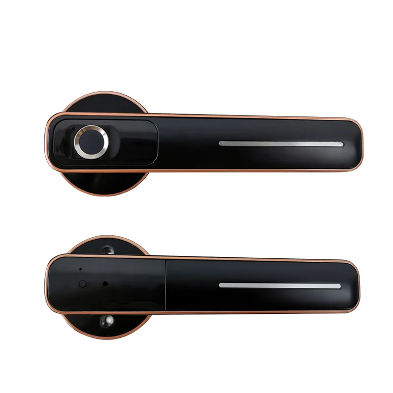 Зеленая бронза Биометрический Дверной замок, интеллектуальный электронный замок, умный дверной замок с механическим ключом для безопасности дома и офиса - Цвет: Зеленая бронза