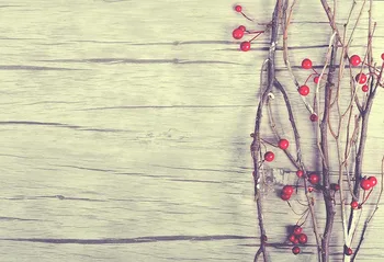 

7x5FT Beautiful Branch Berries Old Gray Wood Wooden Wall Custom Photo Studio Backdrop Background Vinyl 220cm X 150cm