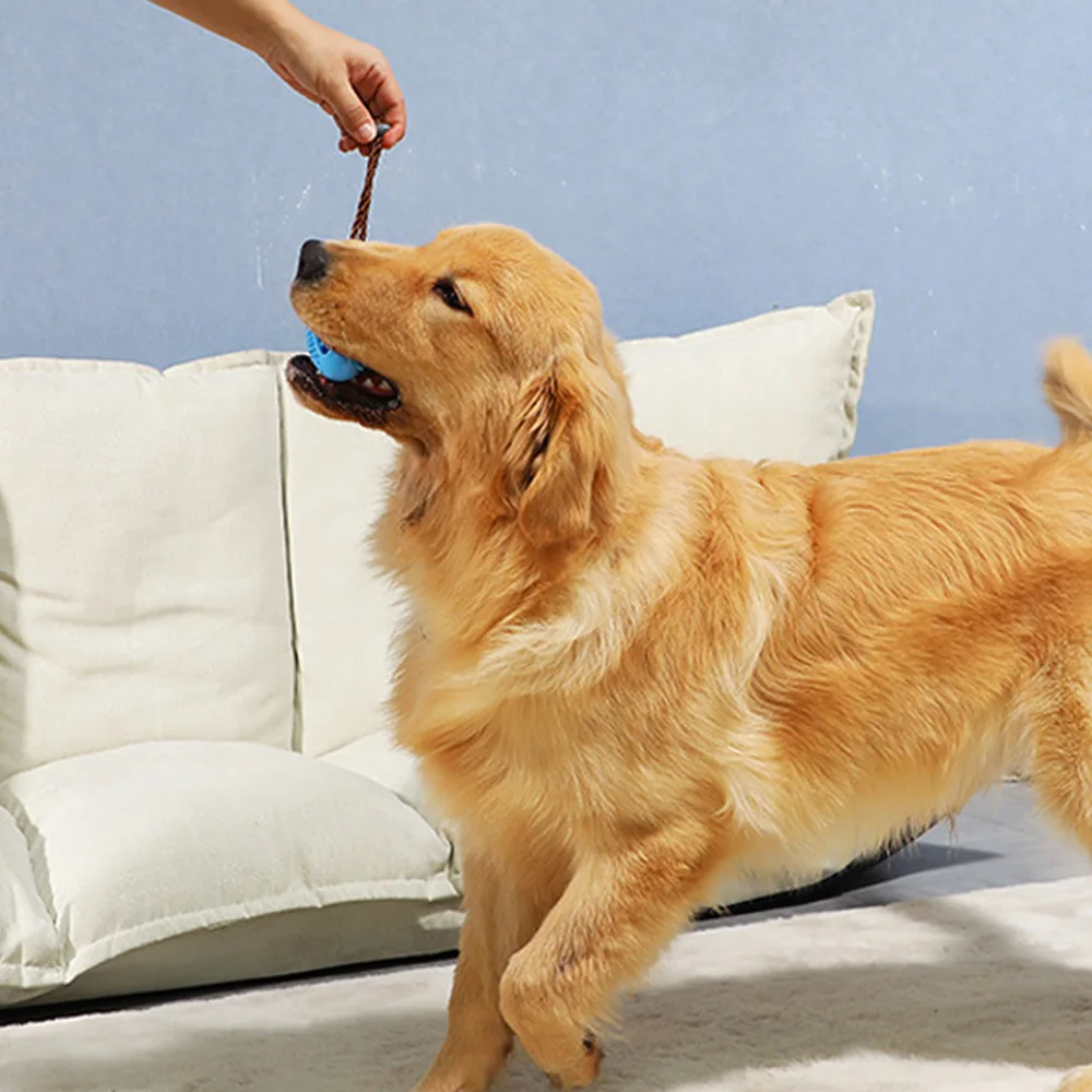 Pet Dog Rubber Chew Toy Durable Teeth Cleaning Training Molar Toy For Small Medium Dog Puppy 3