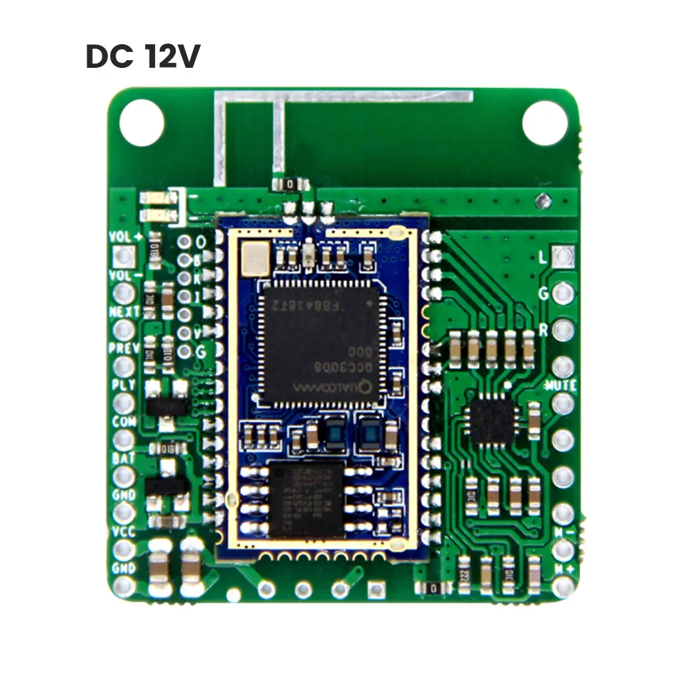 AIYIMA DC5V 12 В QCC3008 Bluetooth аудио модуль HiFi Bluetooth 5,0 приемник APTX LL TWS DIY динамик усилитель домашний кинотеатр - Цвет: DC12V
