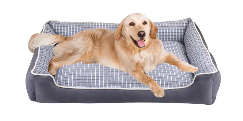 large dog bed