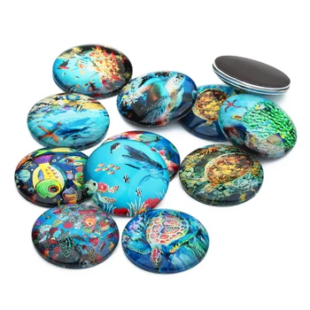 

20pcs/lot 25 20 14 12 10 mm Mixed Ocean Animals Photo Glass Cabochon Round Beads Pendant Charms For Jewelry Making