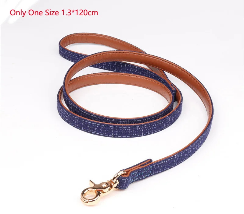 dog leash-