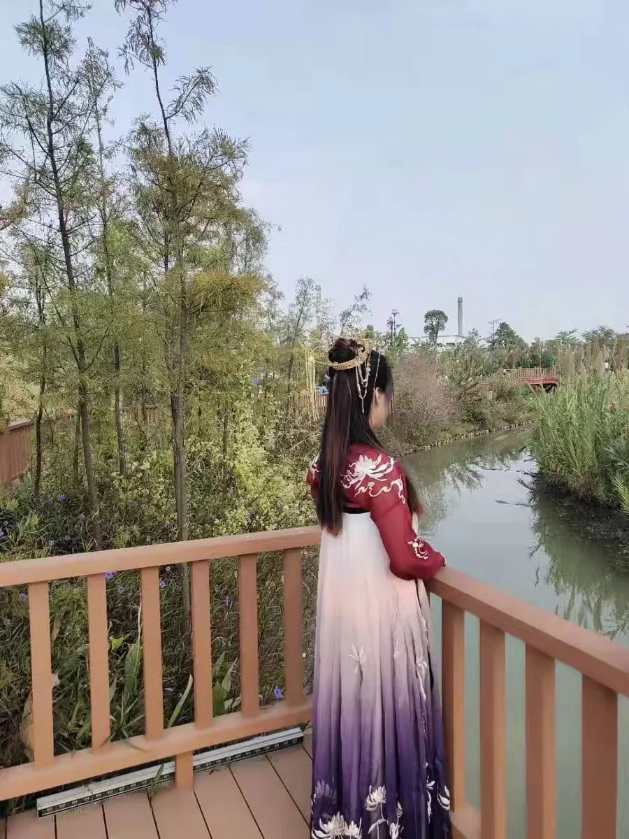 Китайская традиционная одежда Hanfu платье для женщин древняя народная танцевальная сценическая Цветочная вышитая Феи градиентная юбка