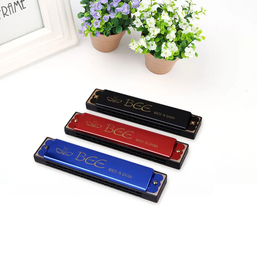 10 Holes C Key Diatonic Blues Harmonica Musical Beginner Education Toy Gift