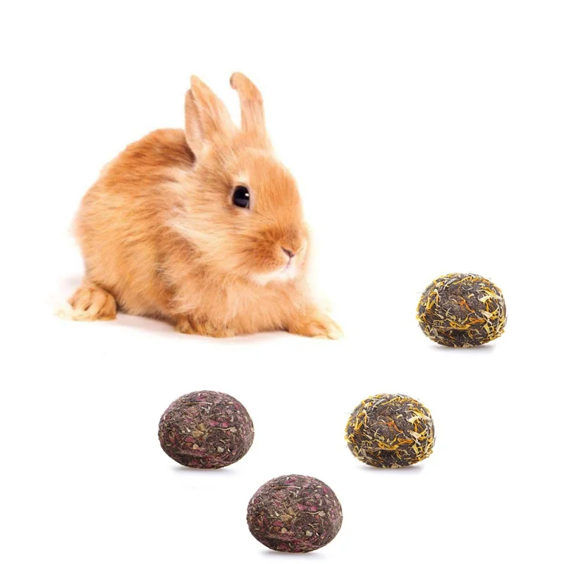 Игрушки для кошек, грызунок, свинья, домашние закуски, морская молярная игрушка, шарики, Шиншилла, белка, травяные игрушки