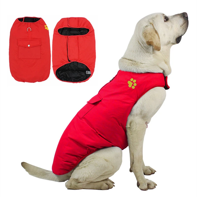 11822485126_609020808