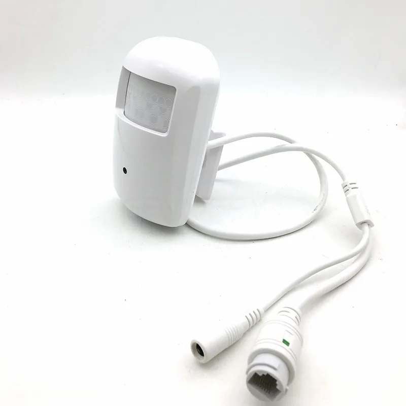 pir ip camera6