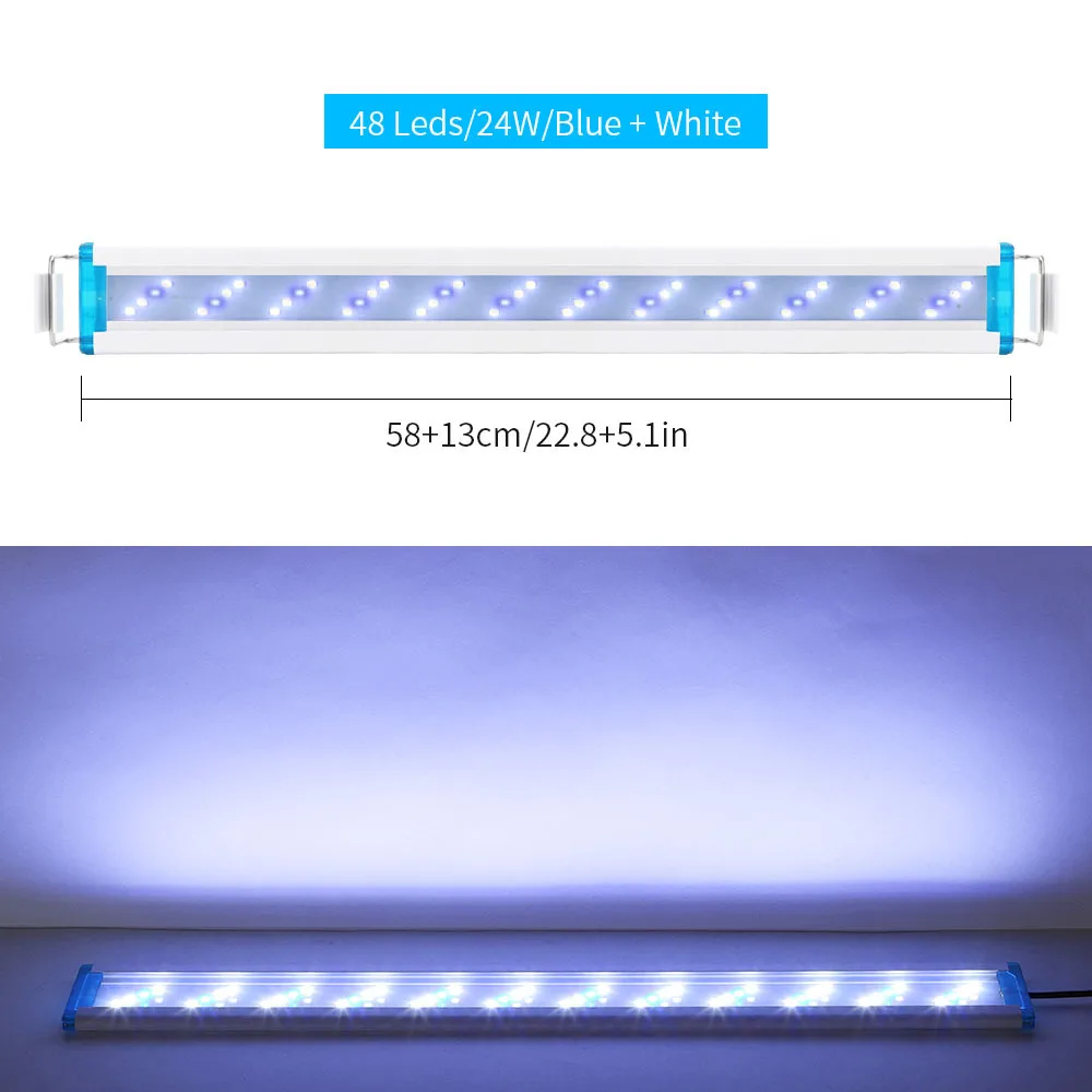 58cm Blue White