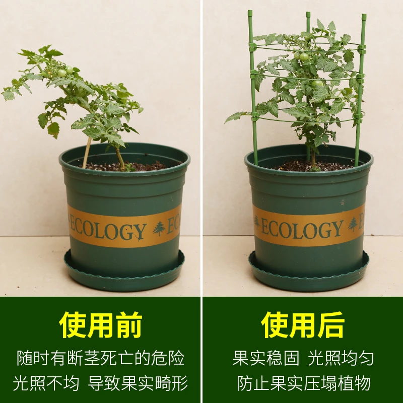Водонепроницаемый антикоррозийный китайский цветок розы стойки Botany бассейна комнатных цветов и растений ветка распорка Садоводство подъем рамки