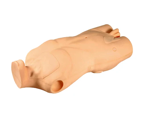 L69Acentral venous catheterization simulato (1)