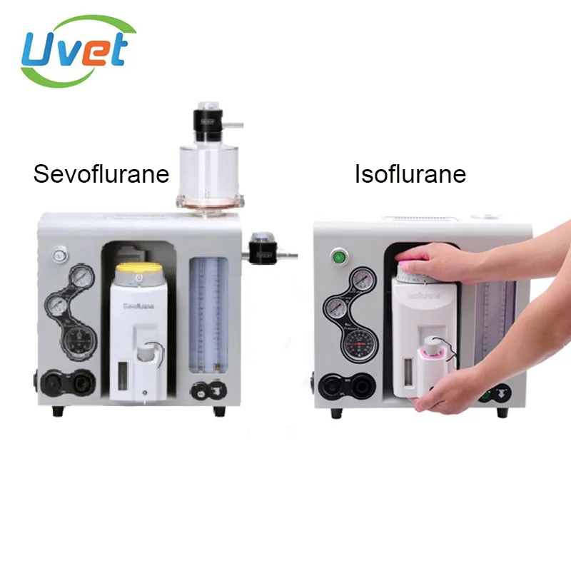 Uvet Veterinary Portable Anesthesia Machine stable and reliability adjustable easily for Veterinary equipment