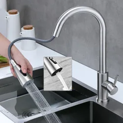 304 Stainless Steel Drawable Kitchen Faucet Rotary Double Water Outlet Mode Cold And Hot Vegetable Washing Basin Faucet