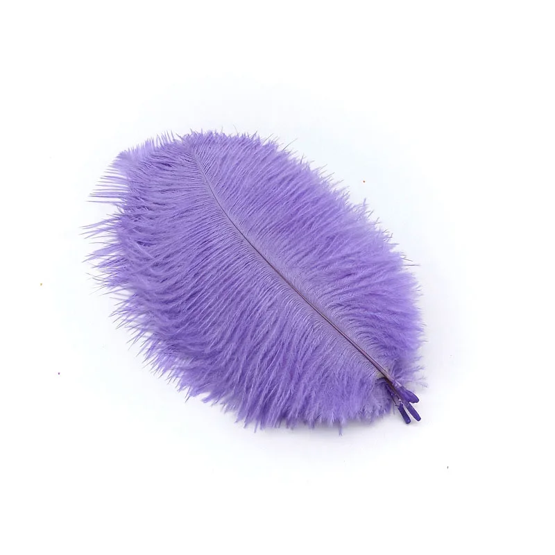 Light Purple feather
