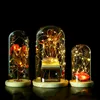 Diameter=12cm Different Height=20cm 22cm 26cm Glass Dome Vase Home Decoration Creative Cover DIY Friend Gift Wedding 1