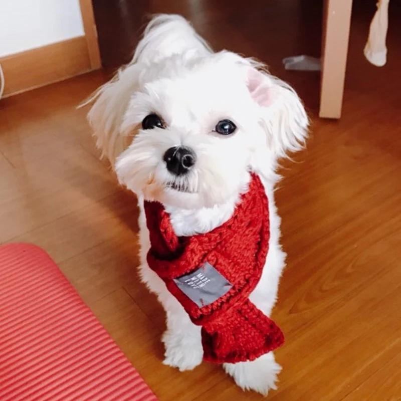 Winter Dog Accessories Knitting Dog Scarf Warm Neck Decor for Puppy Cat Christmas Pet Accessories Warm Pet Neckerchief