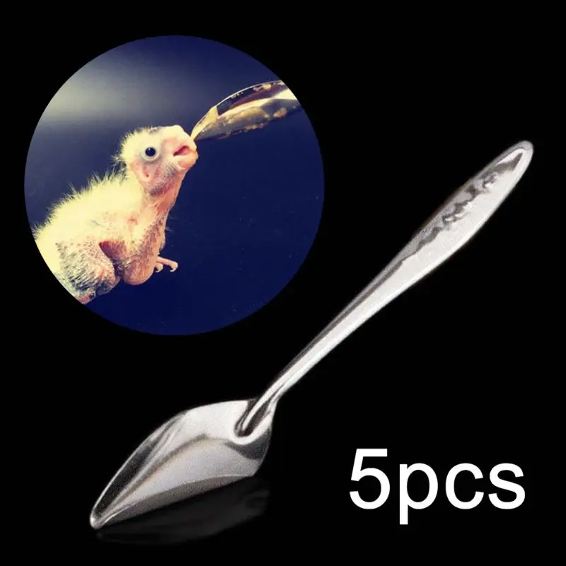 5 Pcs Baby Bird Pointed Feeding Spoon Stainless Steel Milk Medicine Parrot Feeder for All Baby Bird Peony Cockatiel
