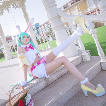 

High Quallity Japanese Anime Hatsune Miku Bunny Woman Cosplay Costume Top+ Pants + Sleeve + Golves + Scok + Tail + Accessory