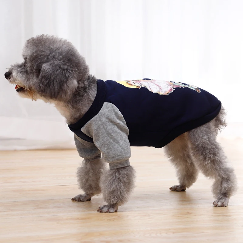 10 Colors Pet Dog Sweatshirts Autumn Winter Pet Clothes Chritsmas Fashion Drawing Teng Printing Puppy Cat Costumes Two-legged