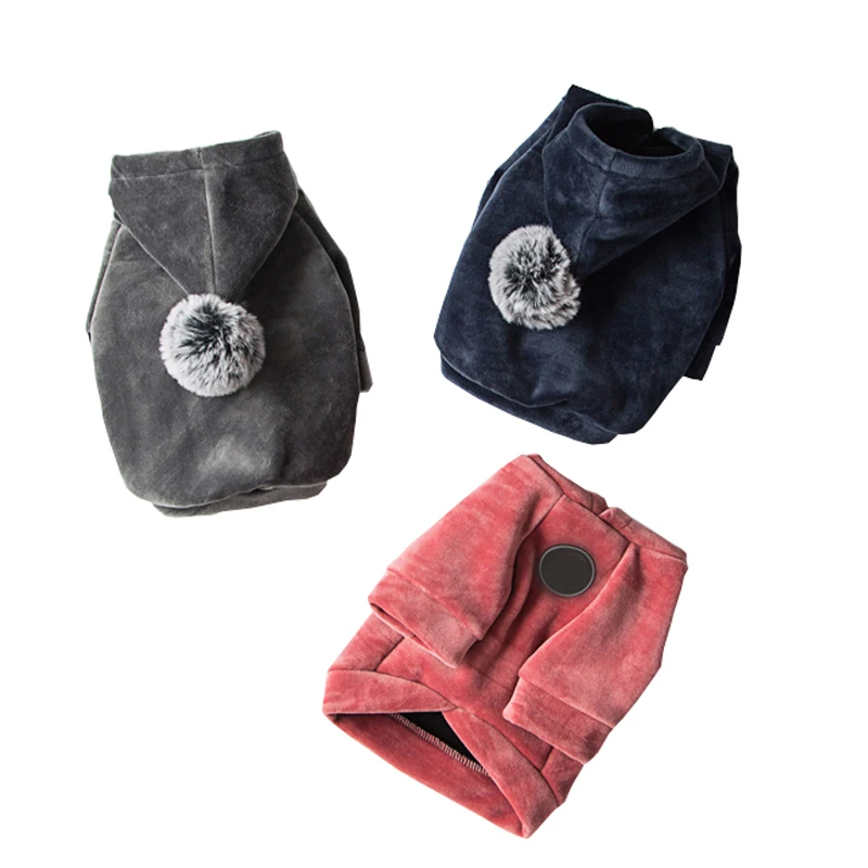 11571653726_419574768