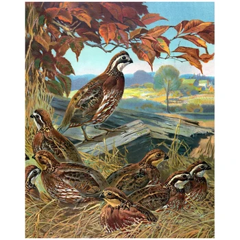 

5D Full Diamond Painting Cross Stitch diy Diamond Embroidery pattern square Diamond Mosaic Animal pheasant picture rhinestone