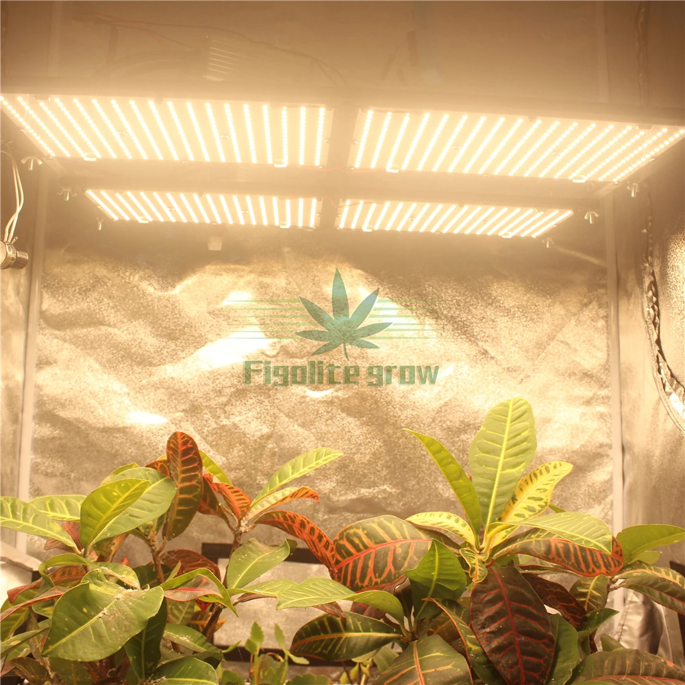 Indoor Grow Tent Kit Grow Box Complete Systems Grow Tent